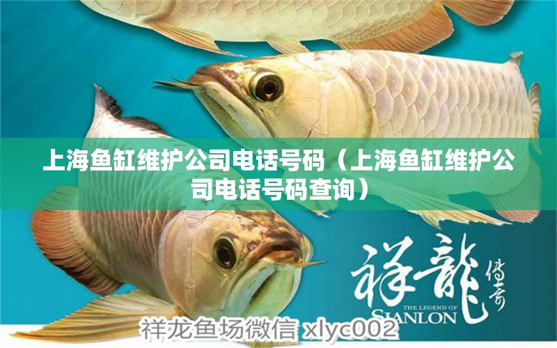 上海鱼缸维护公司电话号码（上海鱼缸维护公司电话号码查询）