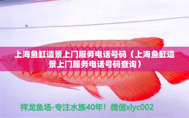 上海鱼缸造景上门服务电话号码（上海鱼缸造景上门服务电话号码查询） 观赏鱼市场（混养鱼）
