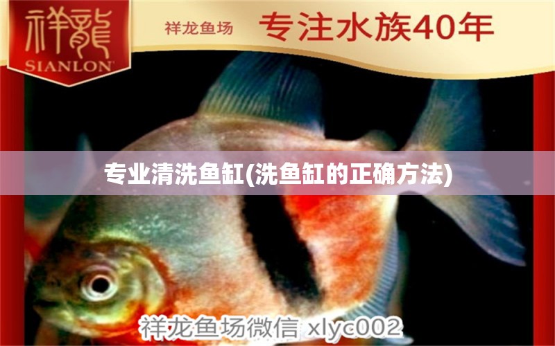 专业清洗鱼缸(洗鱼缸的正确方法) 赤焰中国虎鱼
