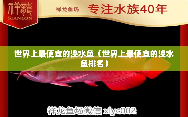 世界上最便宜的淡水鱼（世界上最便宜的淡水鱼排名） 广州龙鱼批发市场
