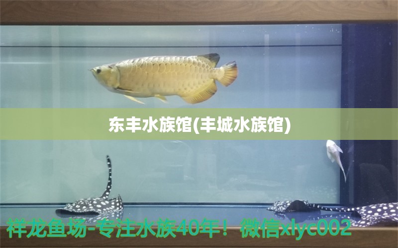 东丰水族馆(丰城水族馆) 稀有红龙品种 第1张
