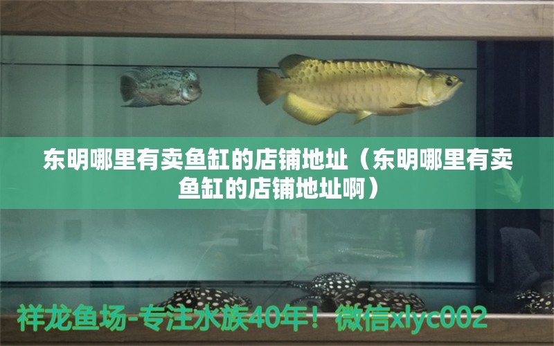 东明哪里有卖鱼缸的店铺地址（东明哪里有卖鱼缸的店铺地址啊）