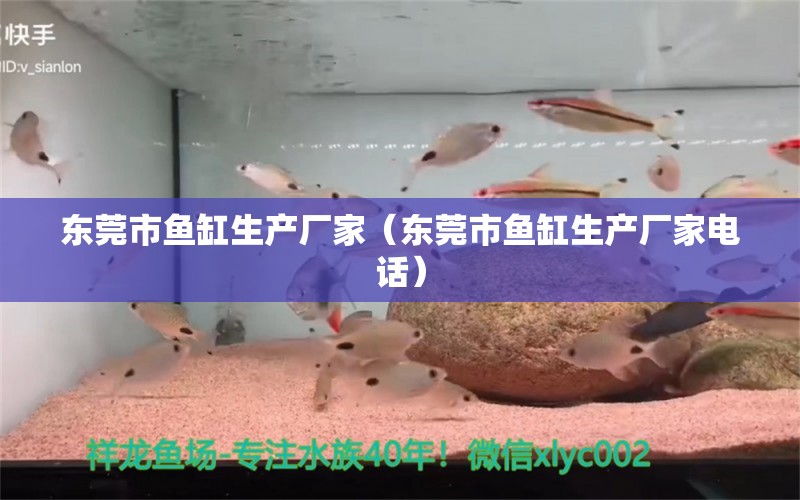 东莞市鱼缸生产厂家（东莞市鱼缸生产厂家电话） 广州龙鱼批发市场