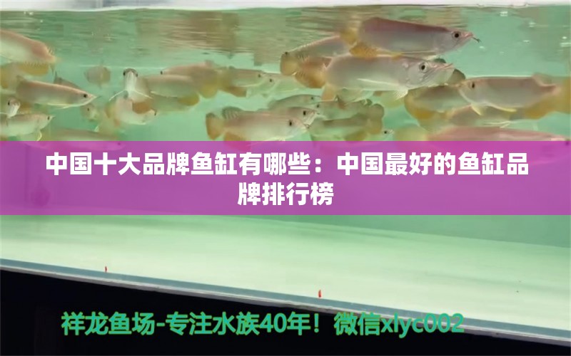中国十大品牌鱼缸有哪些：中国最好的鱼缸品牌排行榜