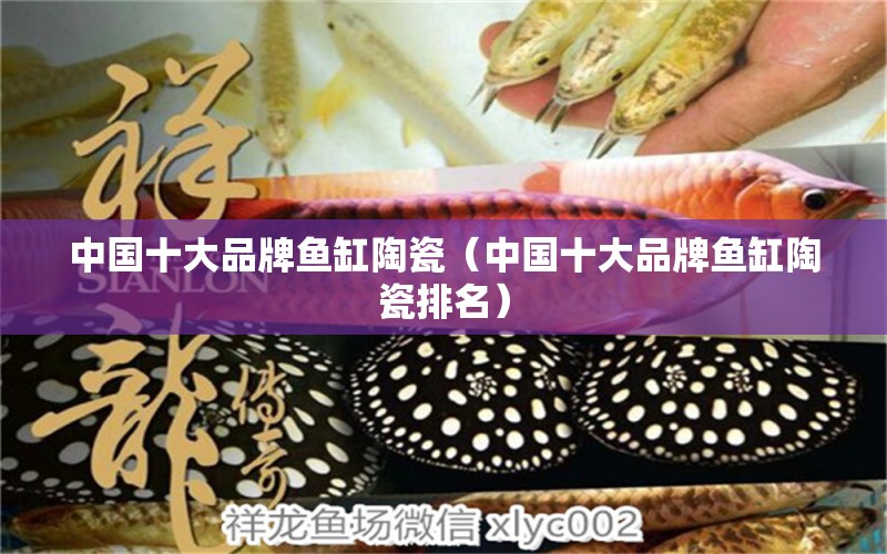 中国十大品牌鱼缸陶瓷（中国十大品牌鱼缸陶瓷排名）