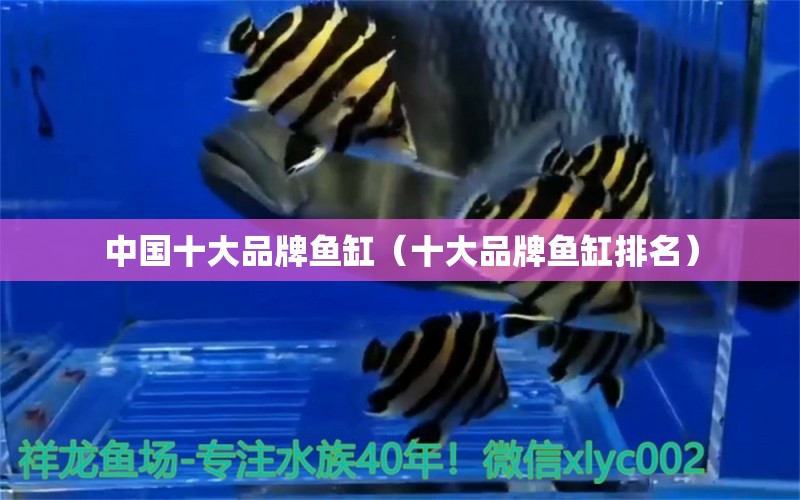 中国十大品牌鱼缸（十大品牌鱼缸排名）