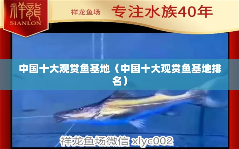 中国十大观赏鱼基地（中国十大观赏鱼基地排名）