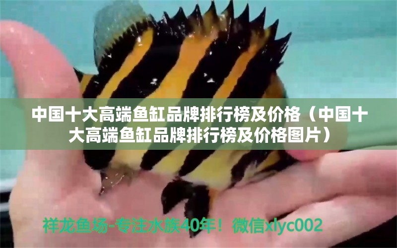 中国十大高端鱼缸品牌排行榜及价格（中国十大高端鱼缸品牌排行榜及价格图片） 猫猫