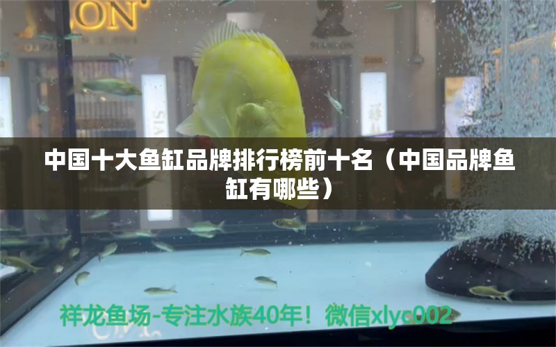 中国十大鱼缸品牌排行榜前十名（中国品牌鱼缸有哪些）