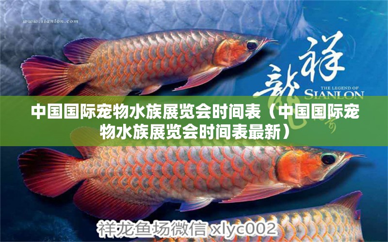 中国国际宠物水族展览会时间表（中国国际宠物水族展览会时间表最新） 水族展会