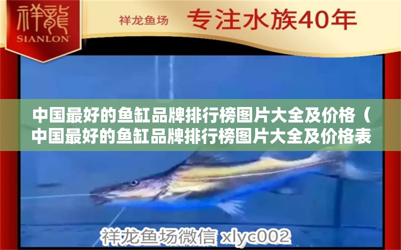 中国最好的鱼缸品牌排行榜图片大全及价格（中国最好的鱼缸品牌排行榜图片大全及价格表）