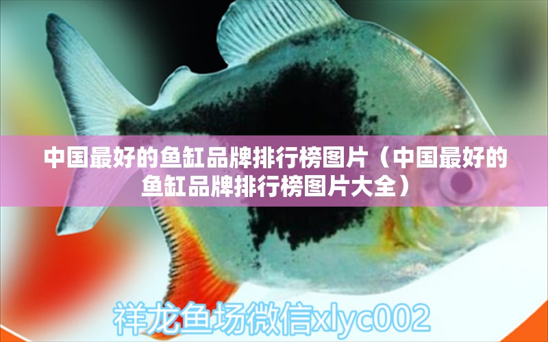 中国最好的鱼缸品牌排行榜图片（中国最好的鱼缸品牌排行榜图片大全）