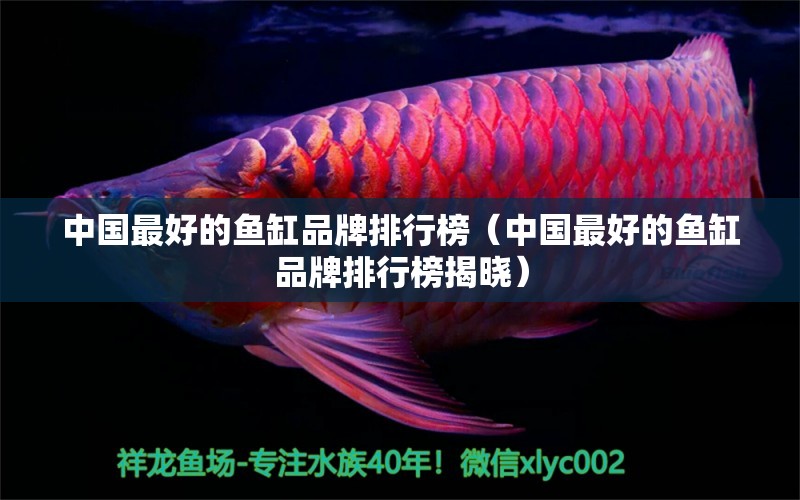 中国最好的鱼缸品牌排行榜（中国最好的鱼缸品牌排行榜揭晓）