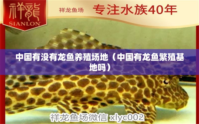 中国有没有龙鱼养殖场地（中国有龙鱼繁殖基地吗） 杰西卡恐龙鱼