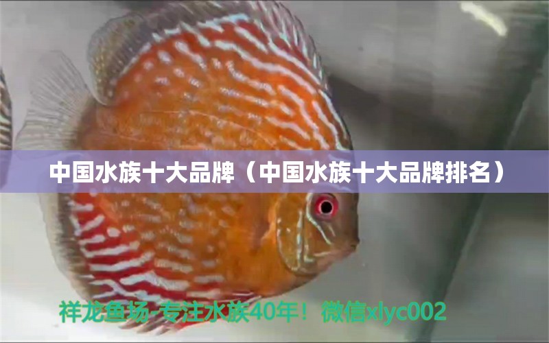 中国水族十大品牌（中国水族十大品牌排名） 其他品牌鱼缸