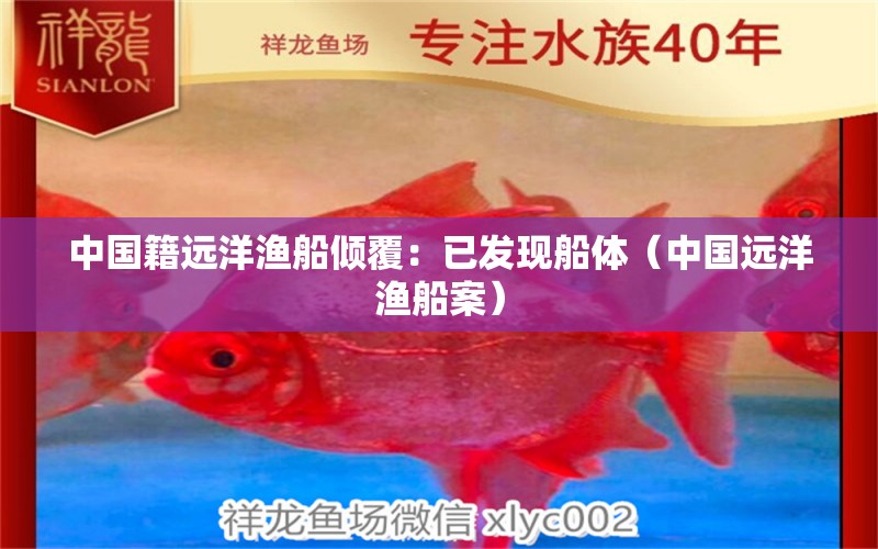 中国籍远洋渔船倾覆：已发现船体（中国远洋渔船案） 七彩神仙鱼