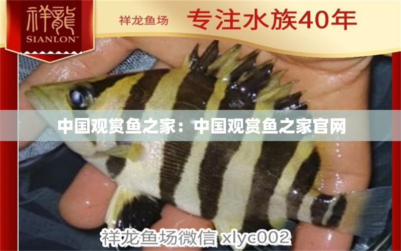中国观赏鱼之家：中国观赏鱼之家官网