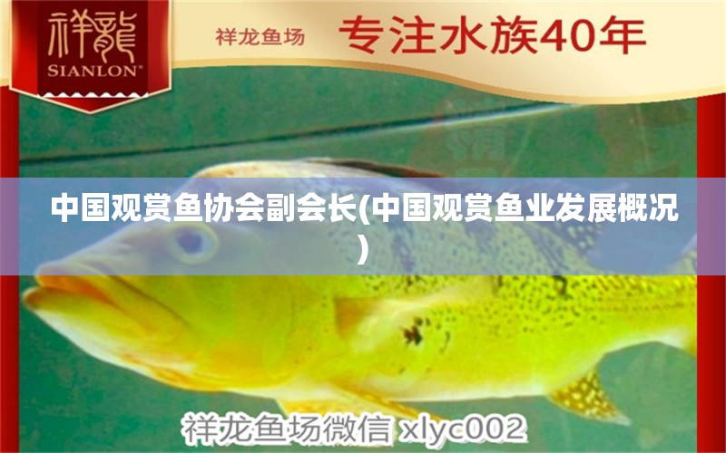 中国观赏鱼协会副会长(中国观赏鱼业发展概况)