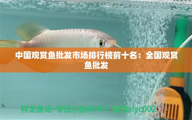 中国观赏鱼批发市场排行榜前十名：全国观赏鱼批发