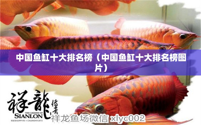 中国鱼缸十大排名榜（中国鱼缸十大排名榜图片）