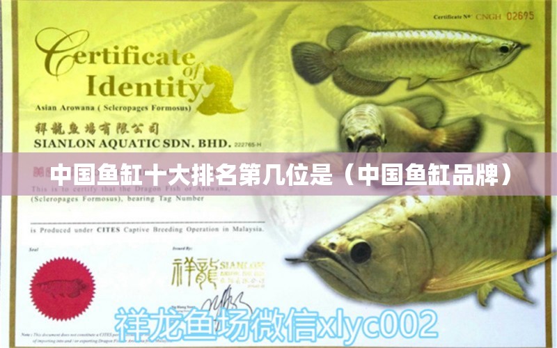 中国鱼缸十大排名第几位是（中国鱼缸品牌）