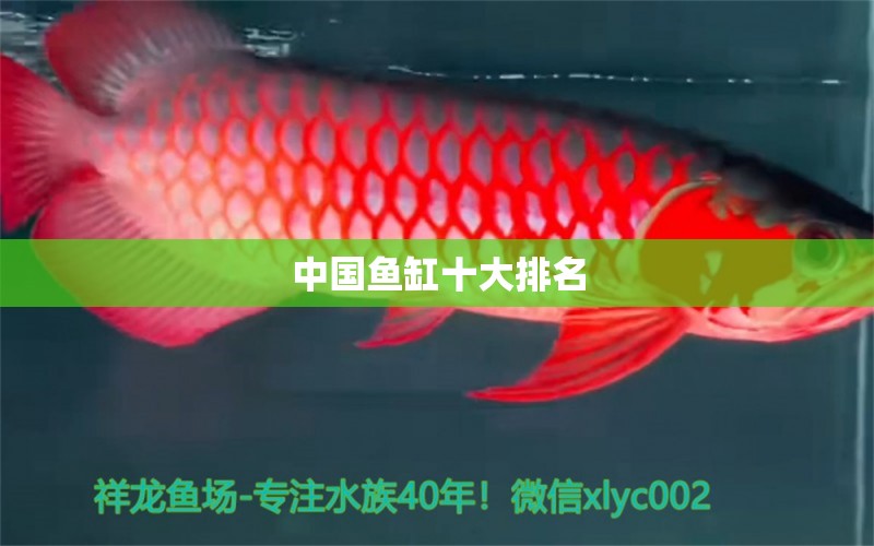 中国鱼缸十大排名