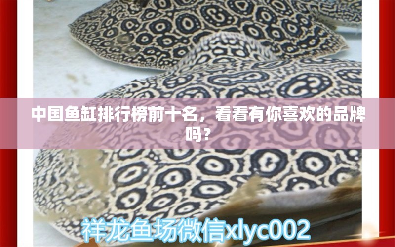 中国鱼缸排行榜前十名，看看有你喜欢的品牌吗？ 蝴蝶鲤