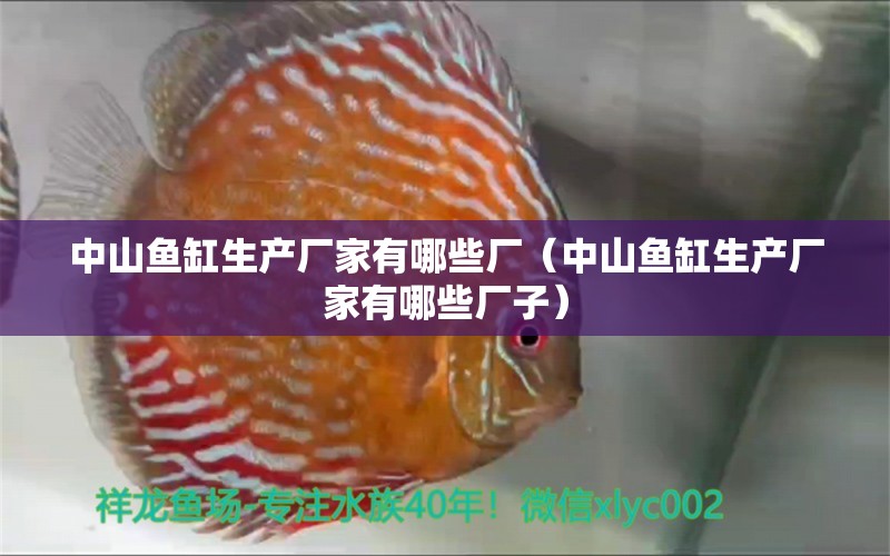 中山鱼缸生产厂家有哪些厂（中山鱼缸生产厂家有哪些厂子） 新加坡号半红龙鱼（练手级红龙鱼）