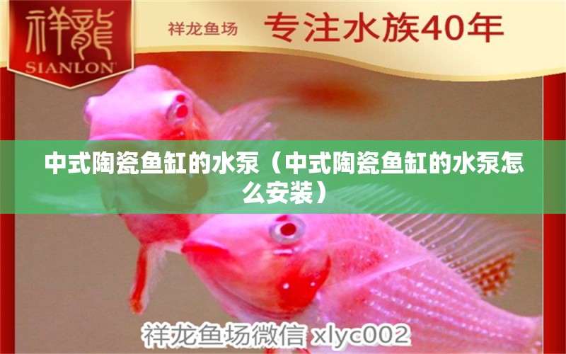 中式陶瓷鱼缸的水泵（中式陶瓷鱼缸的水泵怎么安装）