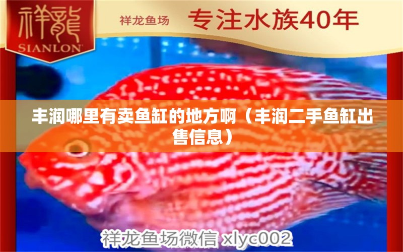 丰润哪里有卖鱼缸的地方啊（丰润二手鱼缸出售信息） 广州观赏鱼批发市场