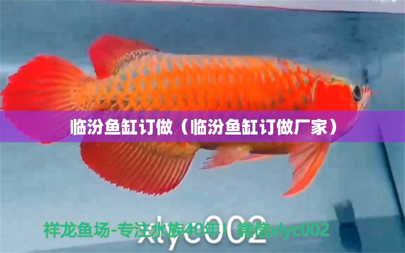 临汾鱼缸订做（临汾鱼缸订做厂家） 广州龙鱼批发市场
