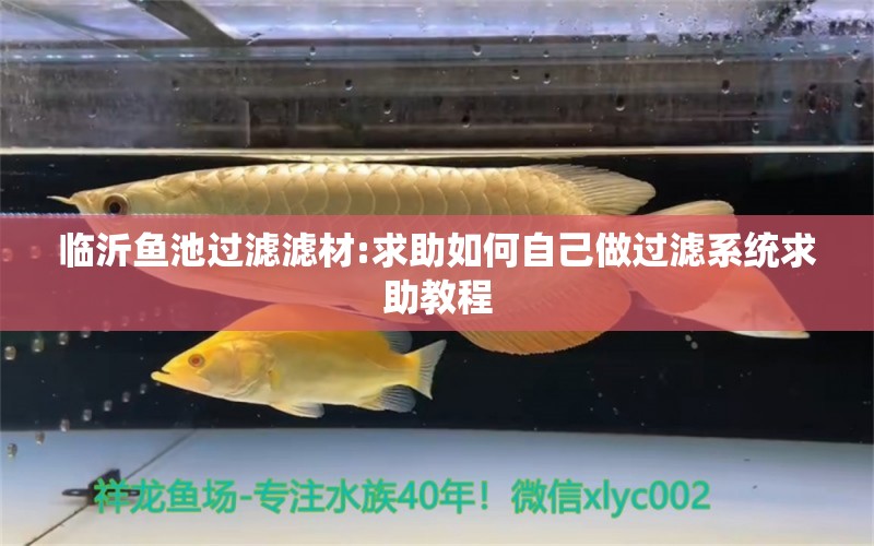 临沂鱼池过滤滤材:求助如何自己做过滤系统求助教程 广州水族器材滤材批发市场