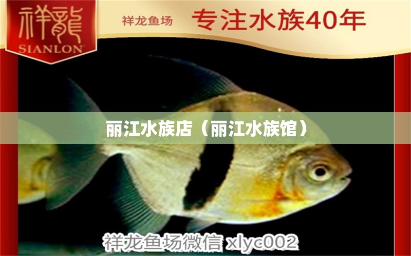 丽江水族店（丽江水族馆） 观赏鱼市场