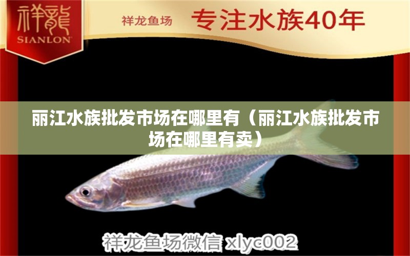 丽江水族批发市场在哪里有（丽江水族批发市场在哪里有卖） 观赏鱼水族批发市场
