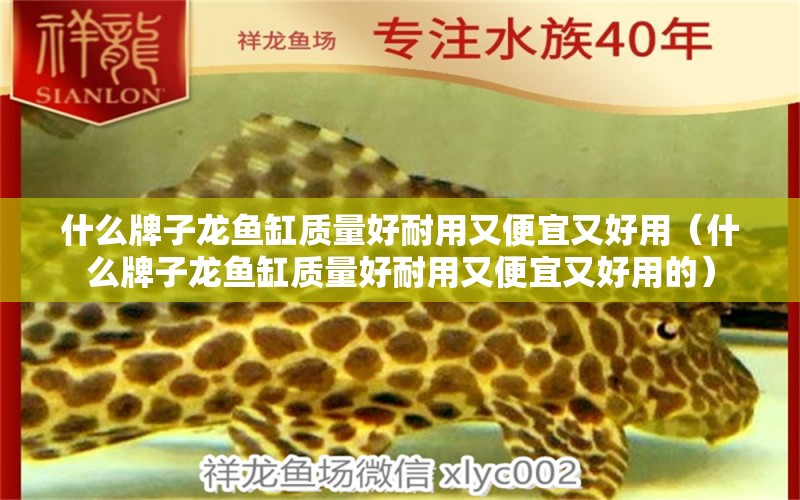 什么牌子龙鱼缸质量好耐用又便宜又好用（什么牌子龙鱼缸质量好耐用又便宜又好用的） 广州龙鱼批发市场