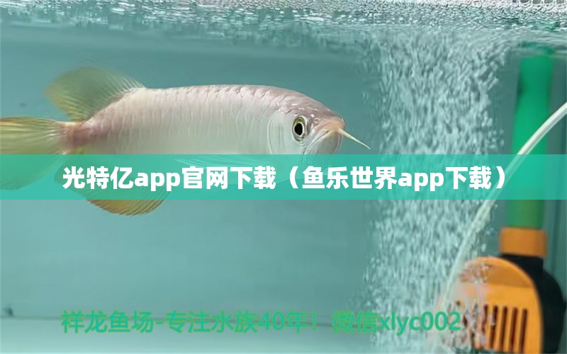 光特亿app官网下载（鱼乐世界app下载）