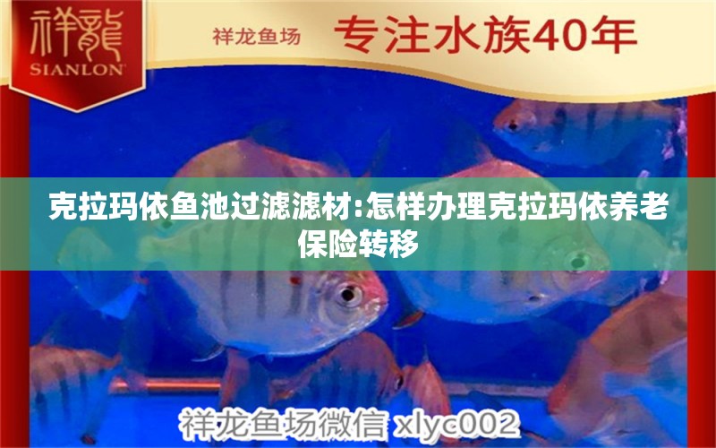 克拉玛依鱼池过滤滤材:怎样办理克拉玛依养老保险转移 广州水族器材滤材批发市场