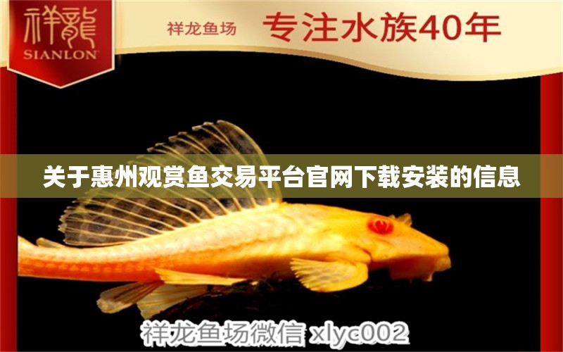 关于惠州观赏鱼交易平台官网下载安装的信息
