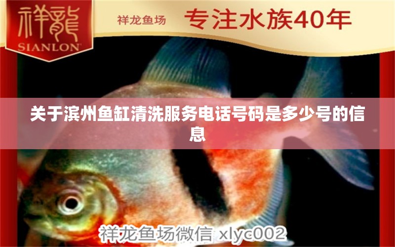 关于滨州鱼缸清洗服务电话号码是多少号的信息