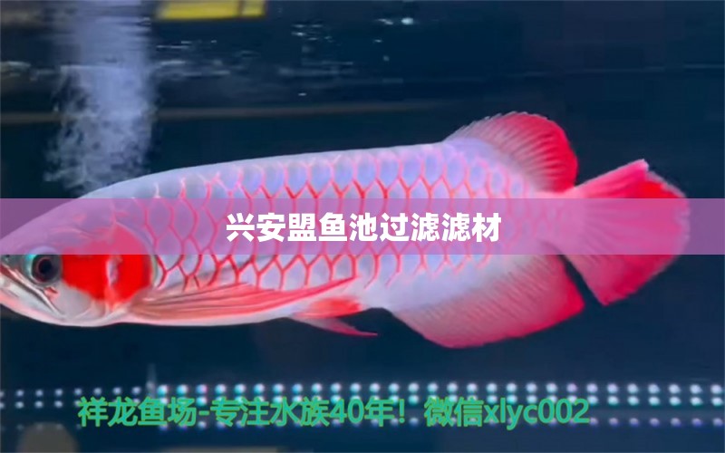 兴安盟鱼池过滤滤材 广州水族器材滤材批发市场