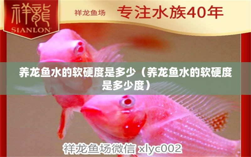 养龙鱼水的软硬度是多少（养龙鱼水的软硬度是多少度） 广州龙鱼批发市场
