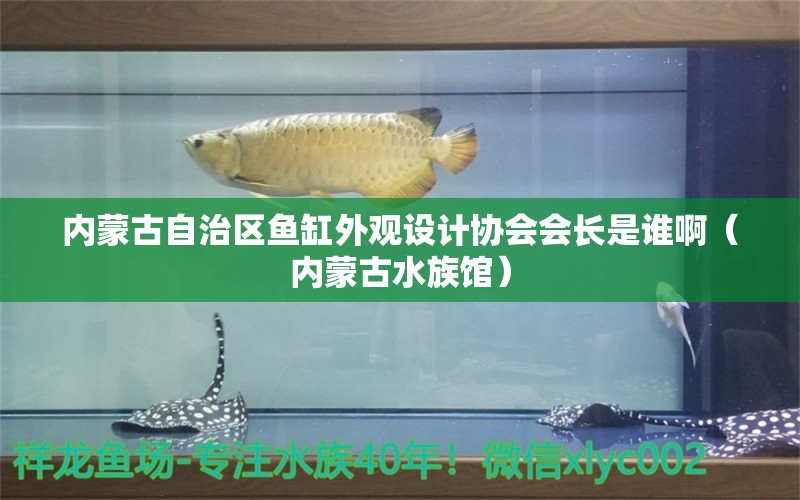 内蒙古自治区鱼缸外观设计协会会长是谁啊（内蒙古水族馆）