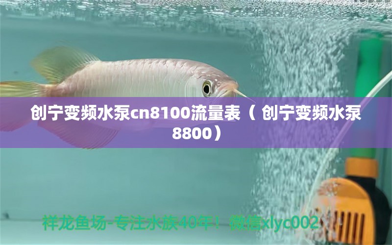 创宁变频水泵cn8100流量表（ 创宁变频水泵8800）