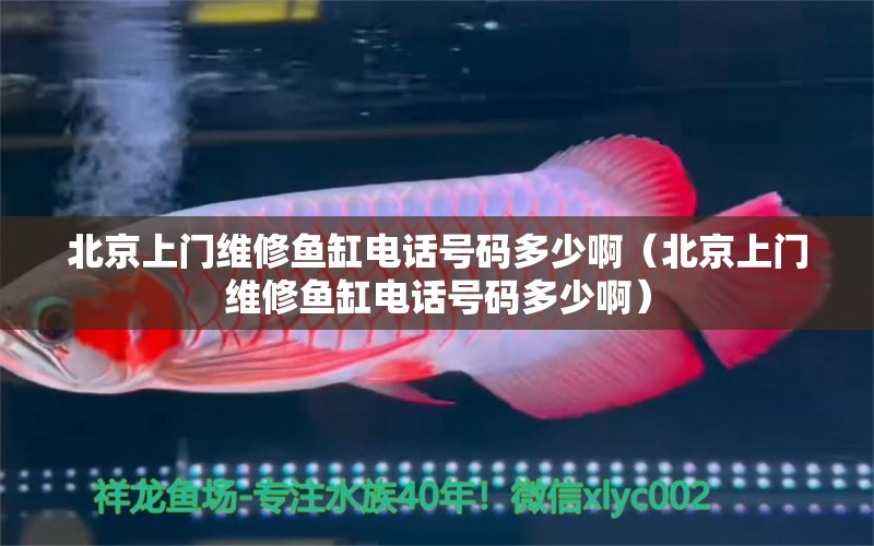 北京上门维修鱼缸电话号码多少啊（北京上门维修鱼缸电话号码多少啊） 量子养鱼技术