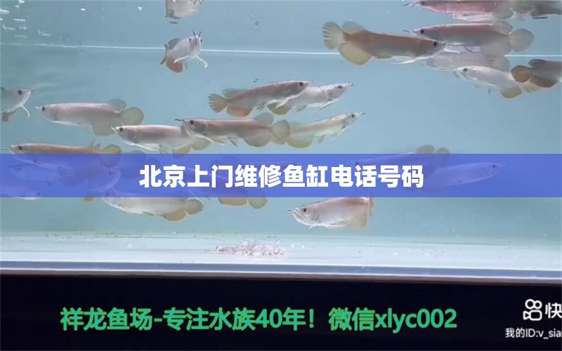 北京上门维修鱼缸电话号码