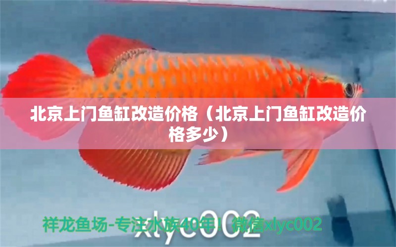 北京上门鱼缸改造价格（北京上门鱼缸改造价格多少） 伊巴卡鱼
