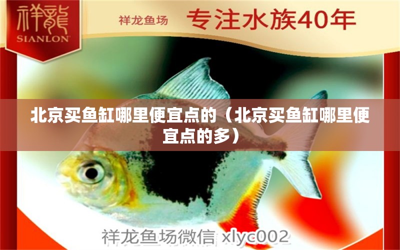 北京买鱼缸哪里便宜点的（北京买鱼缸哪里便宜点的多） 观赏鱼批发