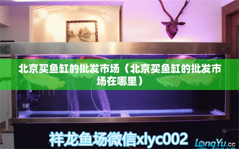 北京买鱼缸的批发市场（北京买鱼缸的批发市场在哪里） 其他品牌鱼缸