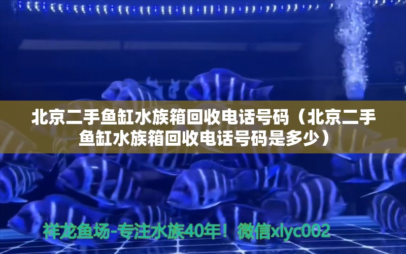 北京二手鱼缸水族箱回收电话号码（北京二手鱼缸水族箱回收电话号码是多少）