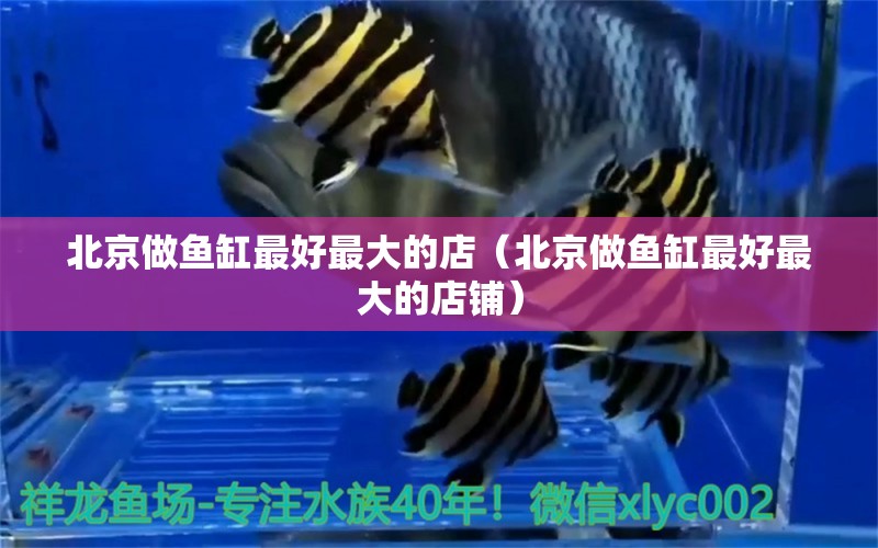 北京做鱼缸最好最大的店（北京做鱼缸最好最大的店铺） 观赏鱼市场（混养鱼）